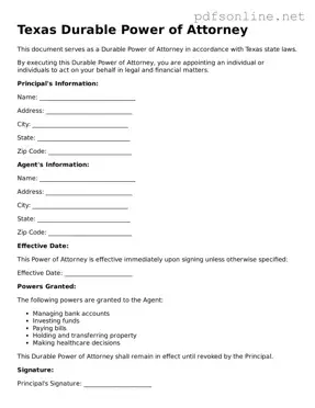 Legal Durable Power of Attorney Template for the State of Texas